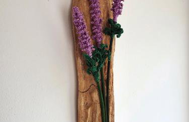 Kuća za odmor Žinžula - Foto 26