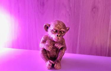 Appartement centre ville chic et cozy - Foto 14