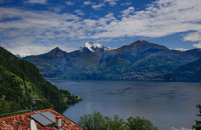 Le Petit Palais Villa - Photo 22