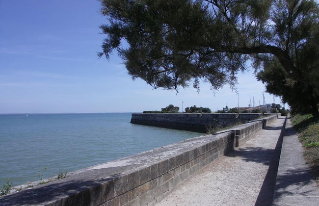 Maison Antioche - Foto 10