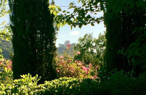 I Gelsi di Colombata Locazione turistica breve in campagna - Foto 55