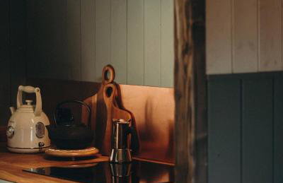 Mech i brzoza - Foto 23