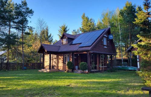 W Krainie Żubra - Foto 1