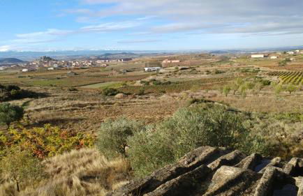 75 Avenida de la Rioja - Foto 31