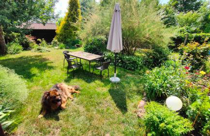 Domek letniskowy nad jeziorem - Photo 19