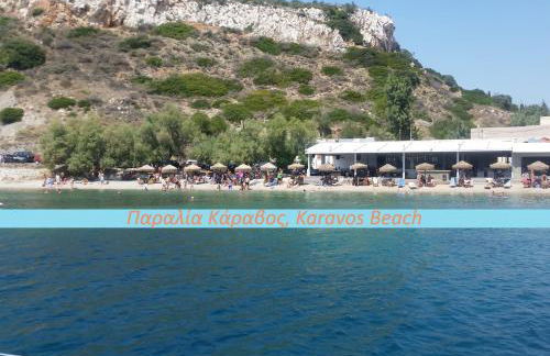 Ανέμη - Foto 36