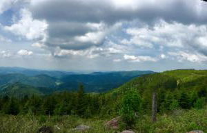 Blackforest Apartment - Foto 33