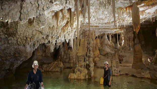Caving in the Cova des Coloms - Half-Day Tour - Photo 3