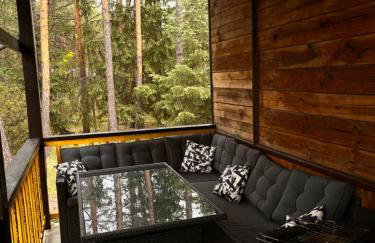 Leśny Czar - Foto 1