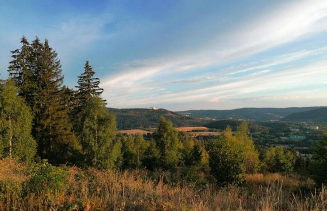 Holiday Home in Suhl Near Rennsteig Trail - Foto 35