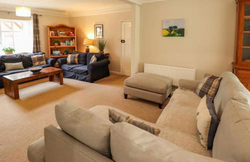 Natterjacks - Foto 16