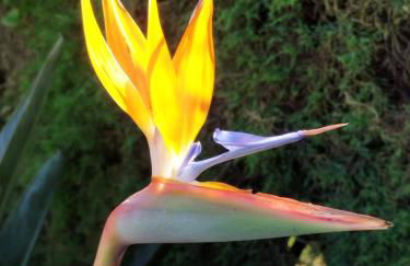 A Casa da Fonte - Foto 47