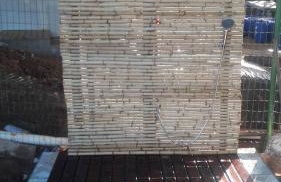 Vida de Ilha - Foto 22