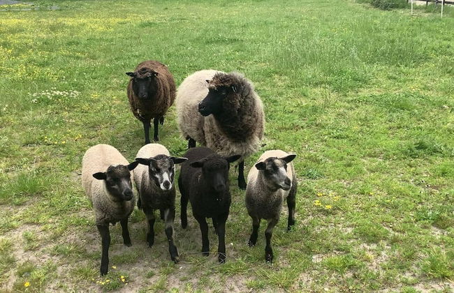 Beautiful 1-bed Apartment in Wareham,dorset - Foto 25