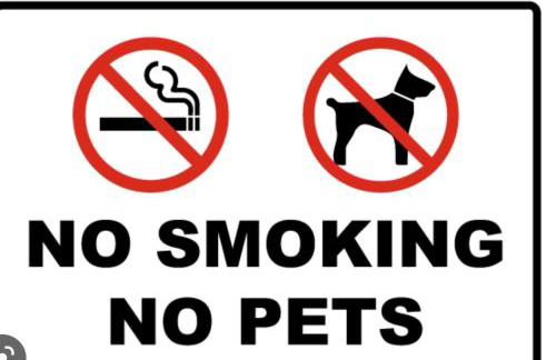 Jungle lodge - Photo 65