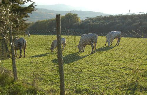 Agriturismo Casale dei Frontini - Photo 139