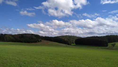 Ferienhaus Winterberg - Foto 2