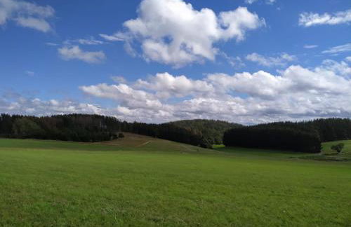 Ferienhaus Winterberg - Foto 2