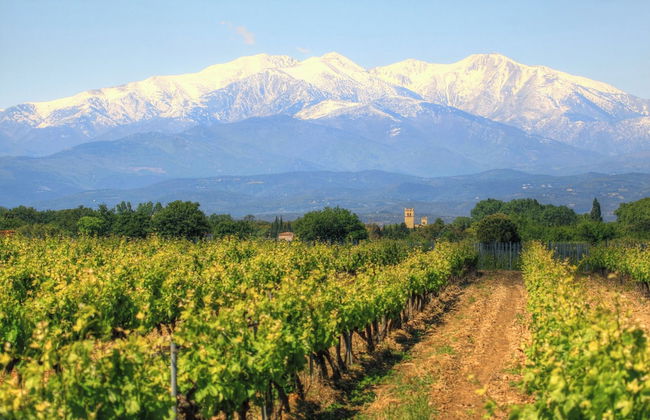 Village Vacances Azureva Argelès-sur-Mer - Foto 17