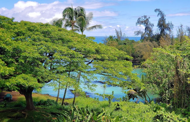 Mauna Loa Shores #405 1 Bedroom Condo by RedAwning - Photo 24