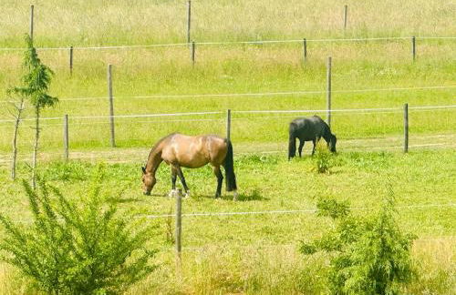 Petit paradis près de Genève et du Lac Léman - Foto 26