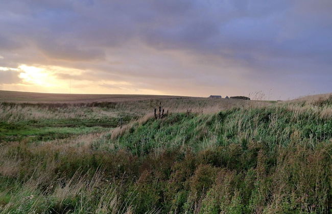 4 Person Holiday Home in Lemvig-by Traum - Photo 5