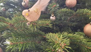 Maison de Coton Ty Koton - Foto 5