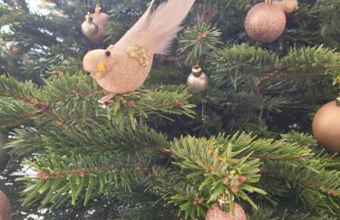 Maison de Coton Ty Koton - Foto 5