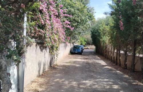 Residence Villa Andrea - Foto 52