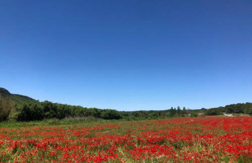 Chez Georges - Maison 2 - Les Gîtes du Verdon - Foto 25