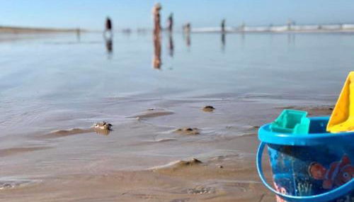 Maison tout confort proche plage avec véranda et parking privatif - FR-1-231-240 - Photo 4