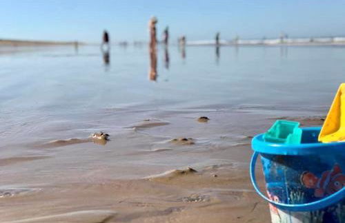 Maison tout confort proche plage avec véranda et parking privatif - FR-1-231-240 - Photo 4