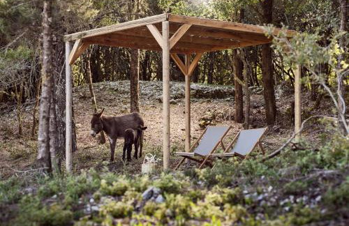 Alkis Farm and Residence - Foto 12