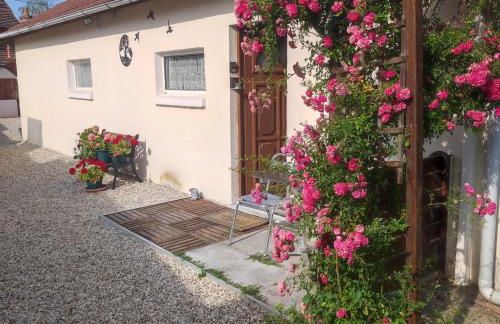 Tranquillité & indépendance au coeur de la sologne - Foto 41