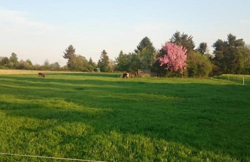 Apartment Apartment Laurence by Interhome - Foto 39