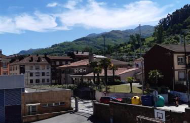 Apartamento Brañavalera - Foto 12