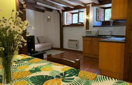 Apartamentos Las Rocas de Brez - Foto 66