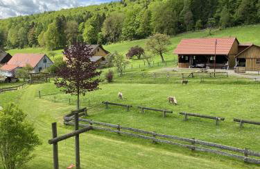 Ferienhaus Buren-Hof - Foto 36