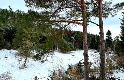 Bezkresne- Domy w Sidorach - Foto 77