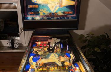 ostfriesisches Bauernhaus mit HotPo zur Erholung - Photo 26