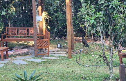 Flat no Vista Azul de frente para a Pedra Azul - Photo 3