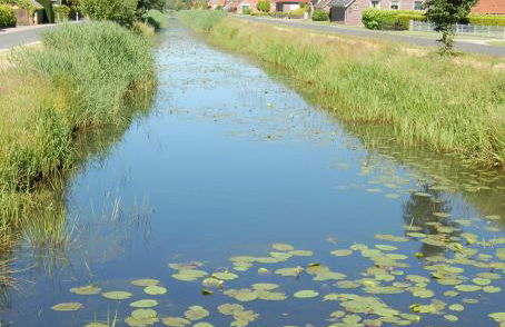 Ferienwohnung Wiekenblick - Foto 13