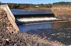 Southern Magnolia House with Porch Swing - Foto 24
