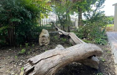 Appartamento Camera'n Montegrotto Terme - Photo 17