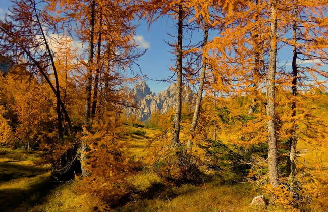 Casa Colibri - at 907 mt Near the ski Slopes - Foto 20