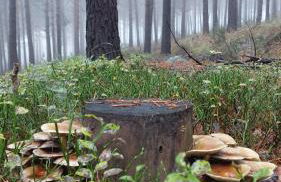 Casa Rural Maria - Photo 57