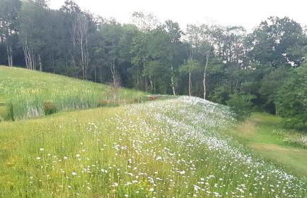 Charming tranquil Shepherds Hut with lakeside balcony 'Roach' - Foto 34