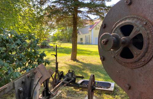 Haflingerstall - Foto 47