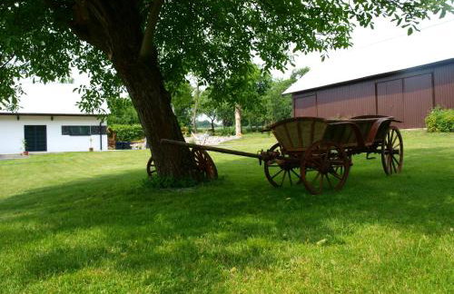 Panorama Racławicka Domek Willa Basen Agroturystyka - Foto 39
