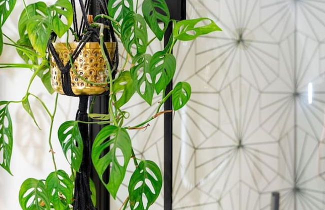 Lecropt House Pet Friendly Stays Inverurie Aberdeenshire - Foto 56